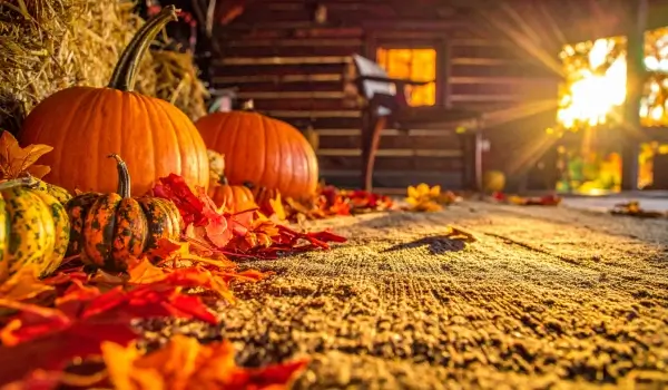 Autumn’s Favorite Tradition Awaits at the Pumpkin Farm